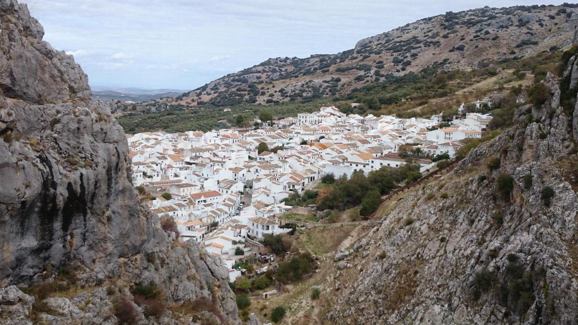 Amapola Rural *