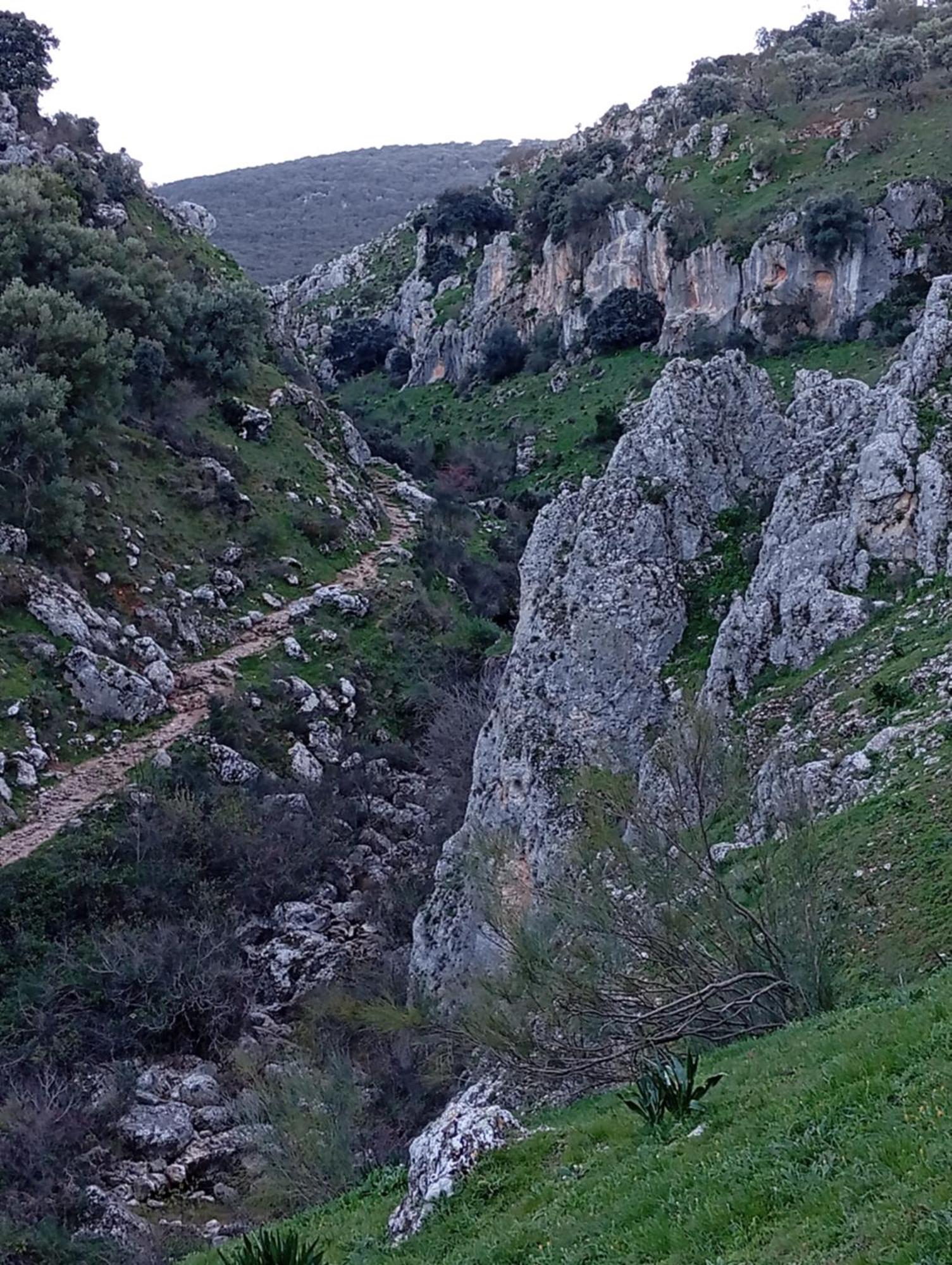 Holiday home Amapola Rural