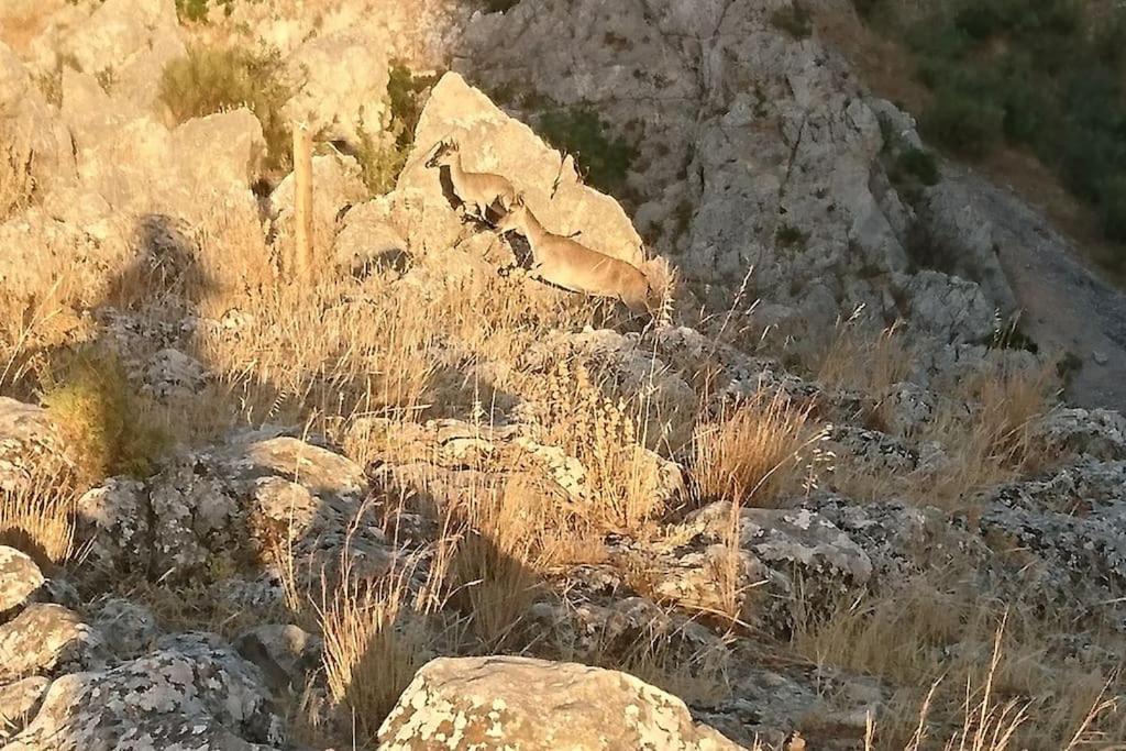 Amapola Rural Dom wakacyjny *