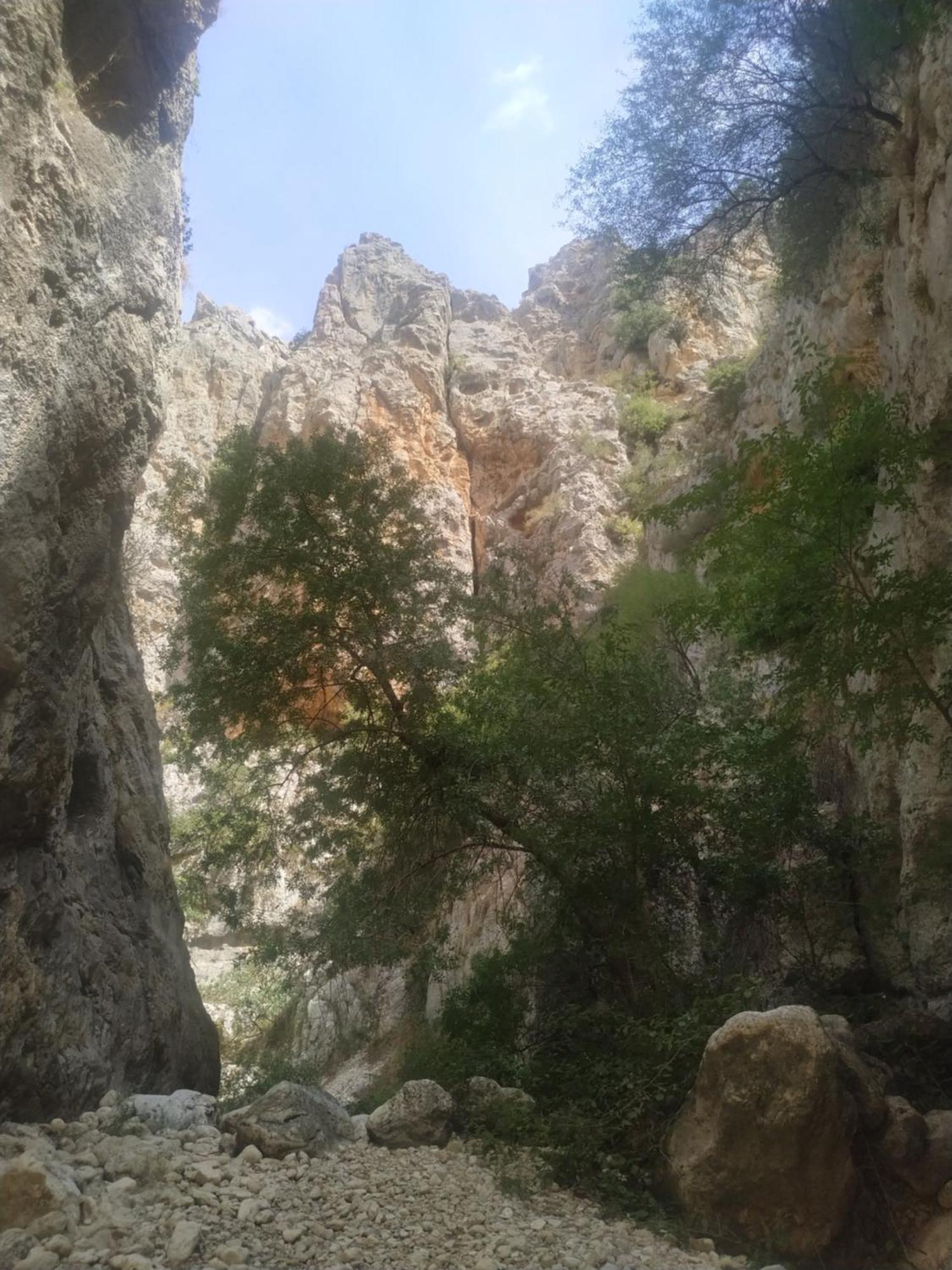 Amapola Rural Dom wakacyjny Zuheros