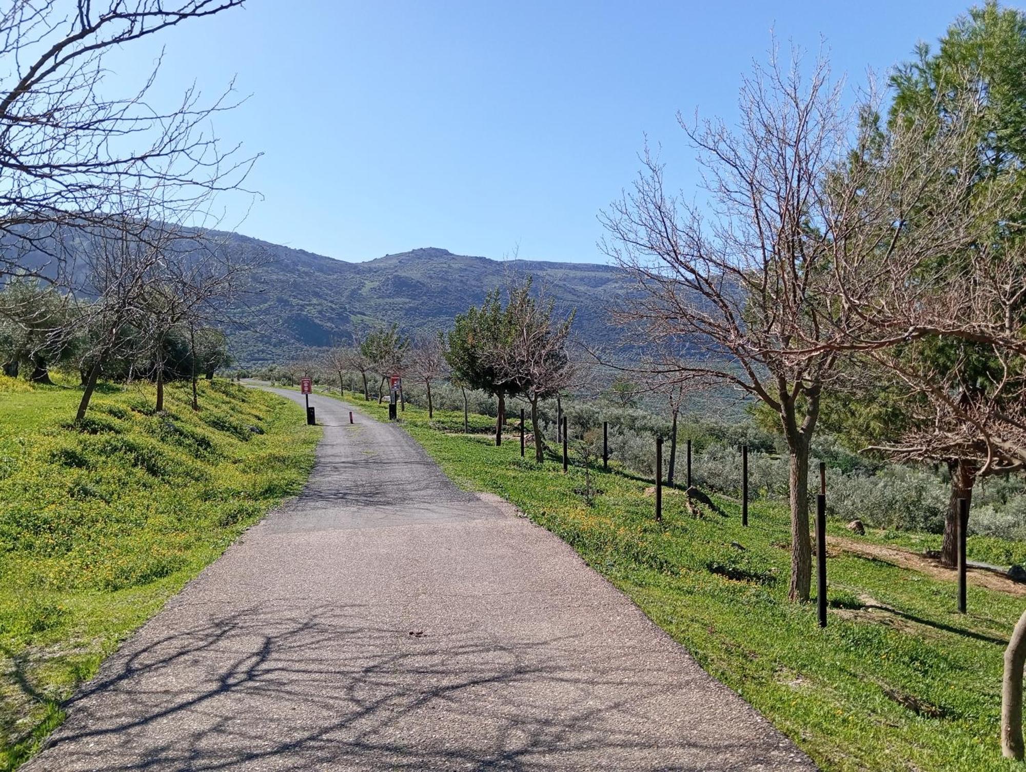 Amapola Rural * Zuheros